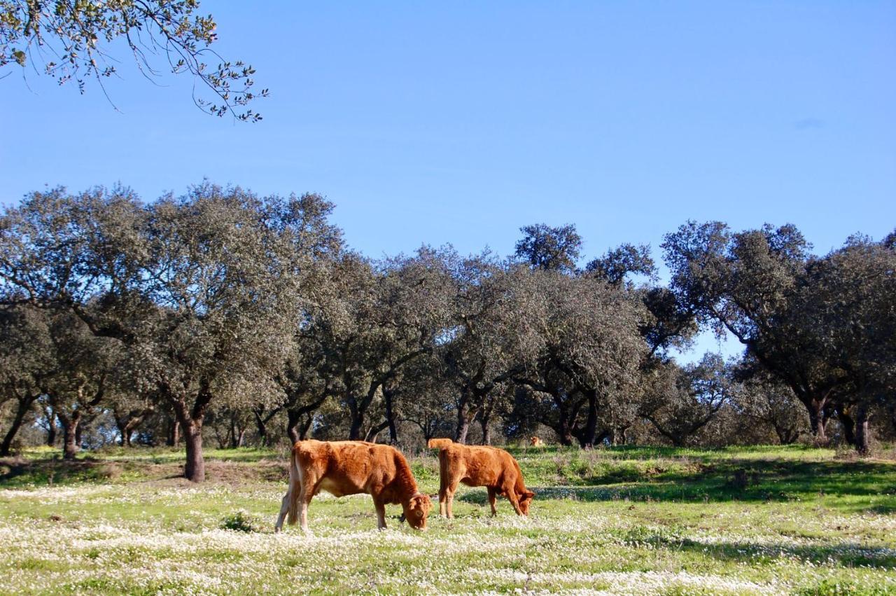 Herdade Da Burquilheira Family Retreat Alcacovas Exterior photo