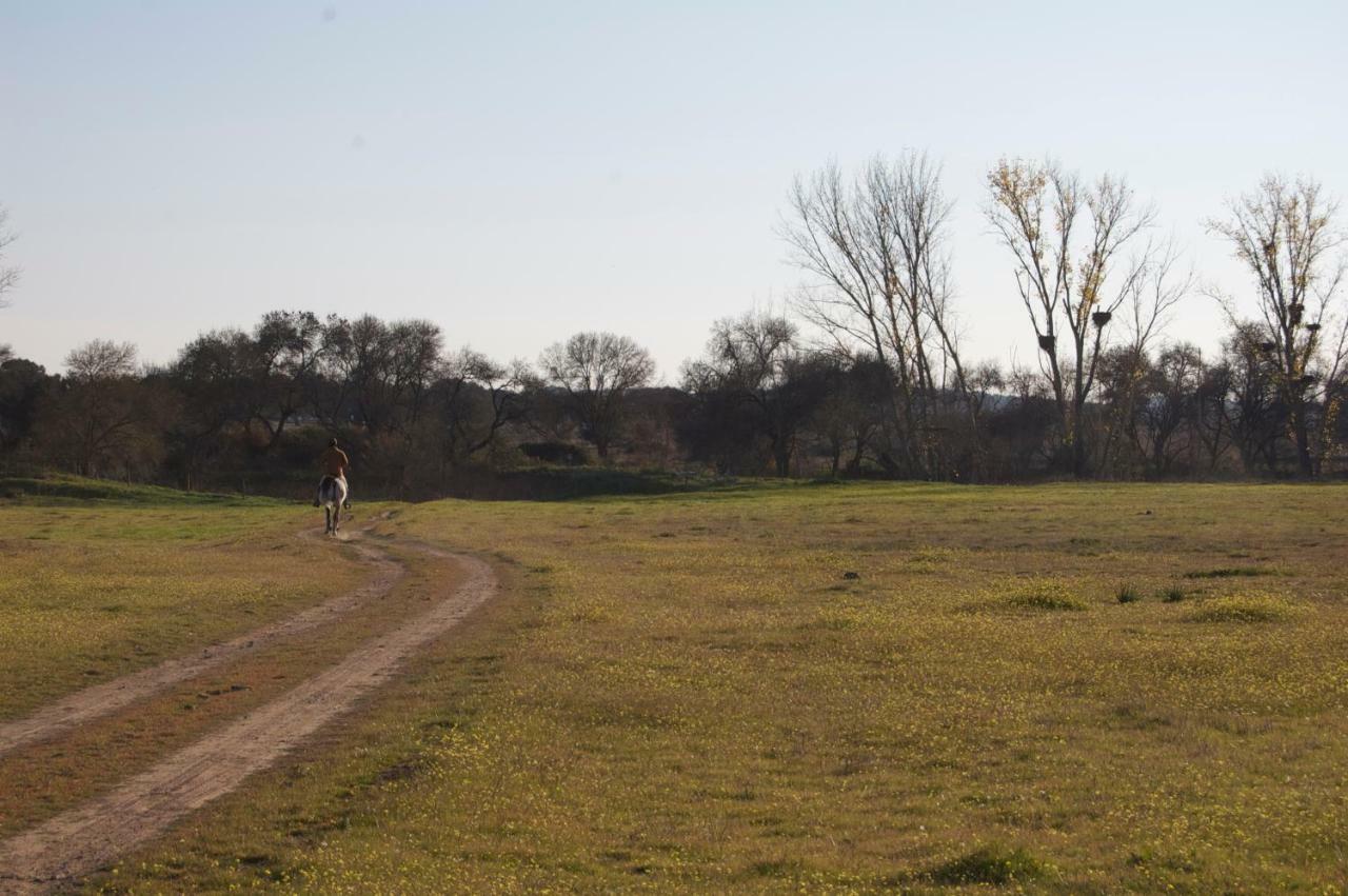 Herdade Da Burquilheira Family Retreat Alcacovas Exterior photo