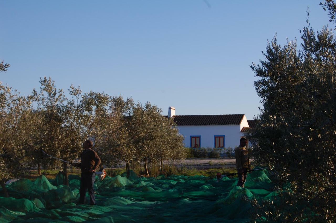 Herdade Da Burquilheira Family Retreat Alcacovas Exterior photo