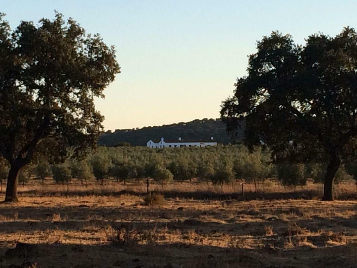 Herdade Da Burquilheira Family Retreat Alcacovas Exterior photo
